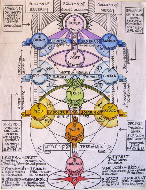 A magical analysis of the tree of life